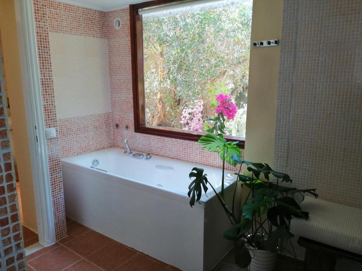 Elia & Hotel 4*